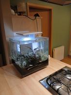 aquarium, Animaux & Accessoires, Enlèvement, Utilisé, Éclairage ou Chauffage