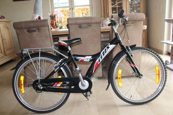 coole Giant 24" (7-12 jaar), Fietsen en Brommers, Fietsen | Jongens, Gebruikt, 24 inch, Handrem, Versnellingen, Ophalen