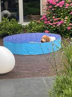 Bassin pour chien de 160 diamètres, Enlèvement, Comme neuf