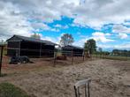 Stal met paddock te huur te Ramsel, Dieren en Toebehoren, Stalling en Weidegang, Stalling