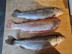 Verse forel, Ophalen