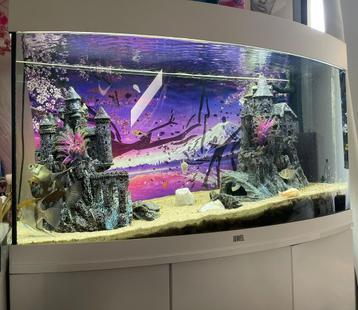 Aquarium Juwel 180l vision avec meuble beschikbaar voor biedingen