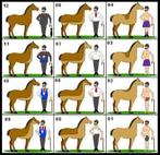 Scheren van paarden, Dieren en Toebehoren, Paarden