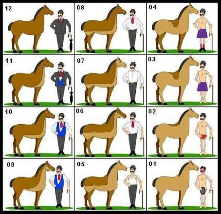 Scheren van paarden, Dieren en Toebehoren, Paarden