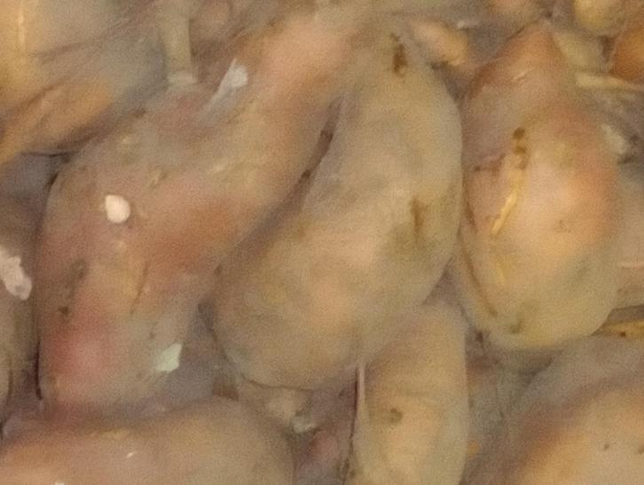 Zoute aardappelen, Zakelijke goederen, Landbouw | Aardappelen, Groenten, Fruit en Vlees, Ophalen