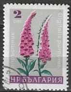 Bulgarije 1967 - Yvert 1480 - Bloemen - Petunia (ST), Bulgarie, Affranchi, Envoi