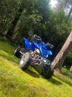 Raptor 660, Motoren, Quads en Trikes