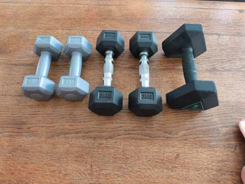 Lot Dumbells beschikbaar voor biedingen