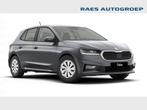 Skoda Fabia Fabia 1.0 TSI Family, Auto's, Skoda, Cruise Control, Handgeschakeld, 113 g/km, Zilver of Grijs