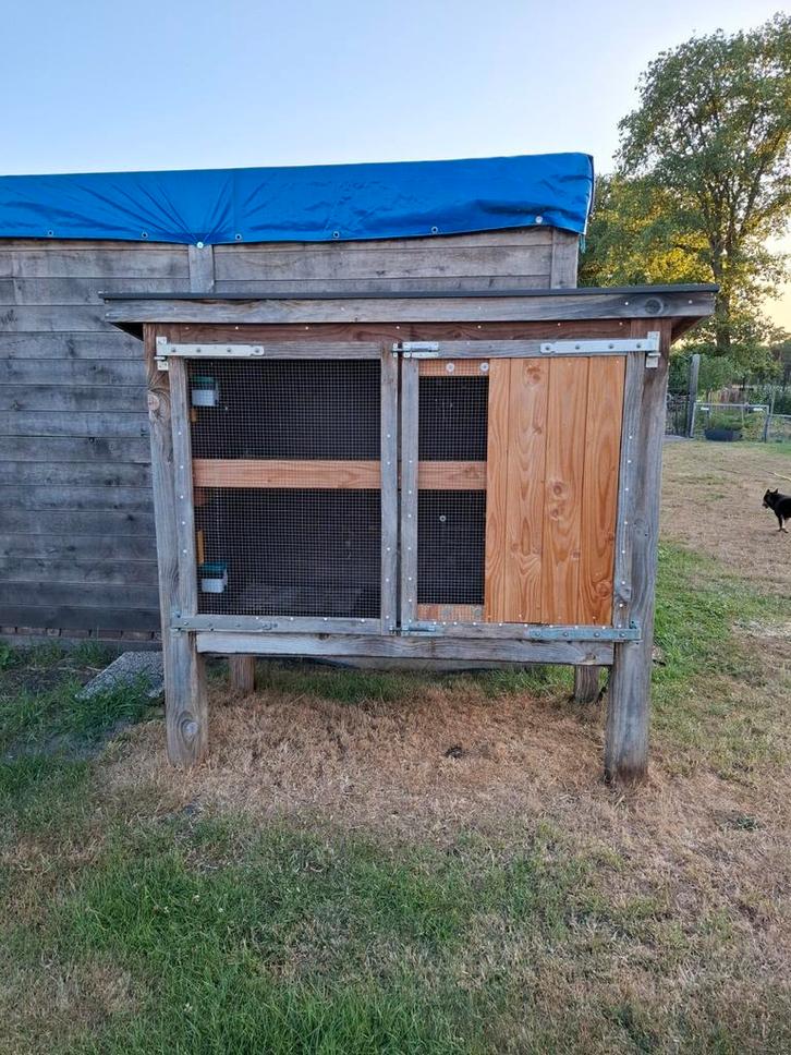 Grote konijnenflat /caviaflat, Dieren en Toebehoren, Knaagdieren en Konijnen | Hokken en Kooien, Zo goed als nieuw, Hok, 90 cm of meer