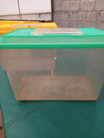 Aquaria,terraria,  beschikbaar voor biedingen