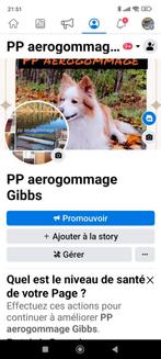 aerogummer eikenhouten meubelen, Eikenhout