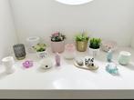 groot lot bloempotjes, plantjes en deco, Huis en Inrichting, Ophalen, Zo goed als nieuw