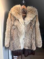 Gilet Wolf, Vêtements | Femmes, Vêtements Femmes Autre, ANDERE, Enlèvement, Comme neuf