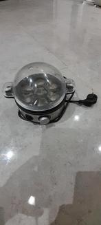 eierkoker, Enlèvement