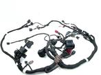 FAISCEAU DE CÂBLAGE DIVERS Chief Dark Horse (2416078), Motos, Pièces | Autre, Utilisé