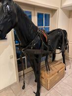 Van der Wiel, Ophalen, Gebruikt, Recreatie