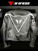 Jasje Dainese, Ophalen, DAINESE