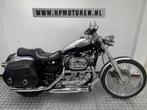 Harley Davidson XL 1200 C SPORTSTER CUSTOM 100 YEARS EDITION, Motoren, Motoren | Harley-Davidson, 1199 cc, Chopper, Meer dan 35 kW