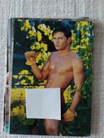 FALCON STUDIO vintage homopaart uit 1999 LGTB N8, Verzamelen, Postkaarten | Themakaarten, Ongelopen, Ophalen of Verzenden, Sterren en Beroemdheden