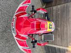 Birel chassis - Tm R1, Ophalen, Gebruikt, Kart