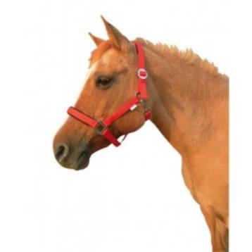 Paardenhalster Exclusief rood full 3 Nieuw. beschikbaar voor biedingen