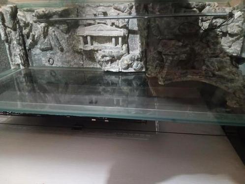 Aquarium/vivarium, Dieren en Toebehoren, Reptielen en Amfibieën | Toebehoren, Zo goed als nieuw, Ophalen