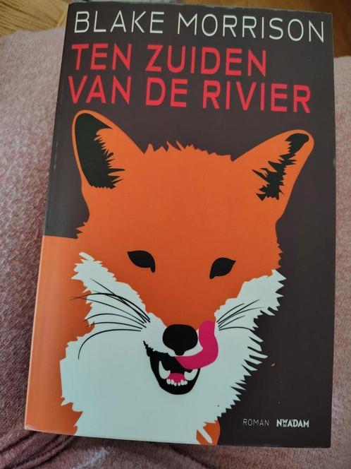 B. Morrison - Ten zuiden van de rivier, Boeken, Literatuur, Zo goed als nieuw, Nederland, Verzenden