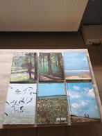 boeken, Boeken, Prentenboeken en Plaatjesalbums, Ophalen, Gelezen, Artis historia, Prentenboek