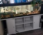 compleet aquarium, Ophalen, Gebruikt, Gevuld zoetwateraquarium