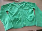 VESTJE MAAT 128, Kinderen en Baby's, Kinderkleding | Maat 128, Ophalen of Verzenden, Zo goed als nieuw, Meisje, Trui of Vest