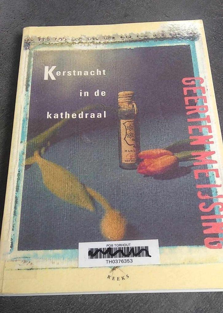 Kerstnacht in de kathedraal, Boeken, Romans, Ophalen of Verzenden