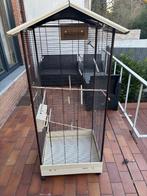 Voiliere a oiseau à vendre 55 euro, Animaux & Accessoires, Oiseaux | Perruches & Perroquets