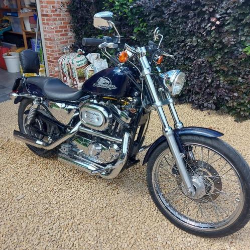 Harley Davidson Sportster 1200, Motoren, Motoren | Harley-Davidson, Particulier, Chopper, meer dan 35 kW, 2 cilinders, Ophalen