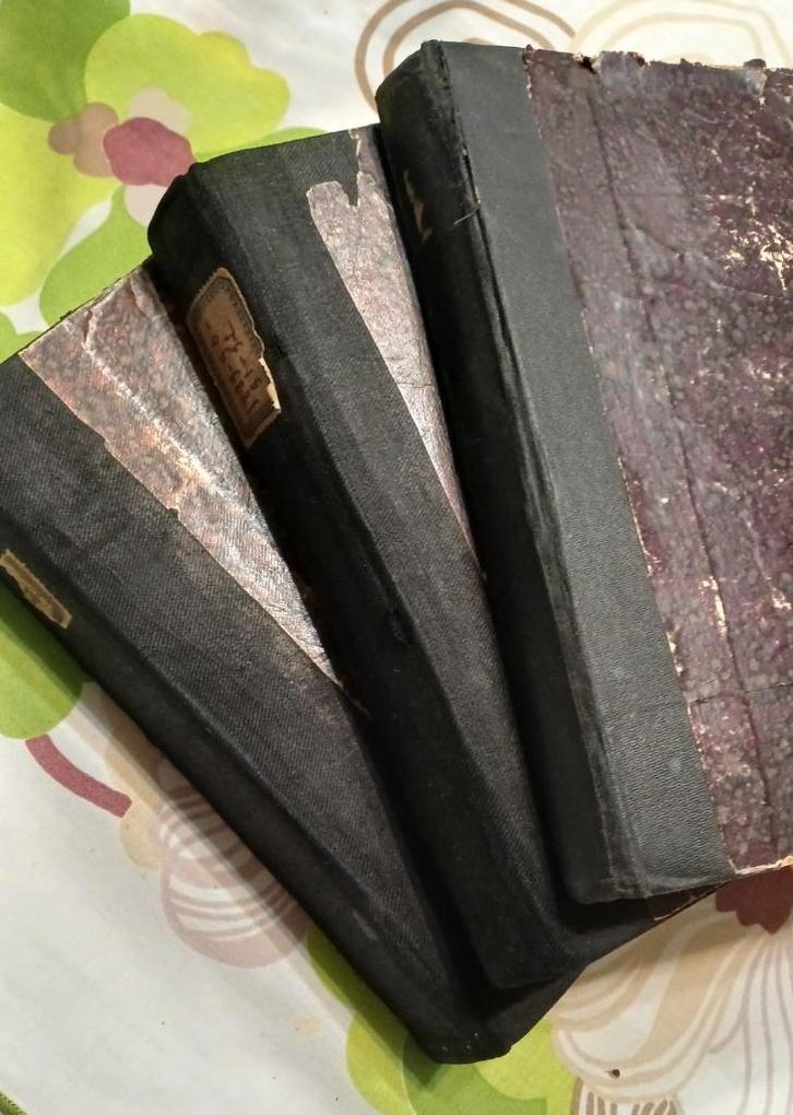 Tijdschrift De Student - verschillende jaargangen, Verzamelen, Tijdschriften, Kranten en Knipsels, Tijdschrift, Voor 1920, Ophalen of Verzenden