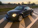 VW Beetle Cabriolet, Autos, Euro 5, Achat, Entreprise, Cabriolet