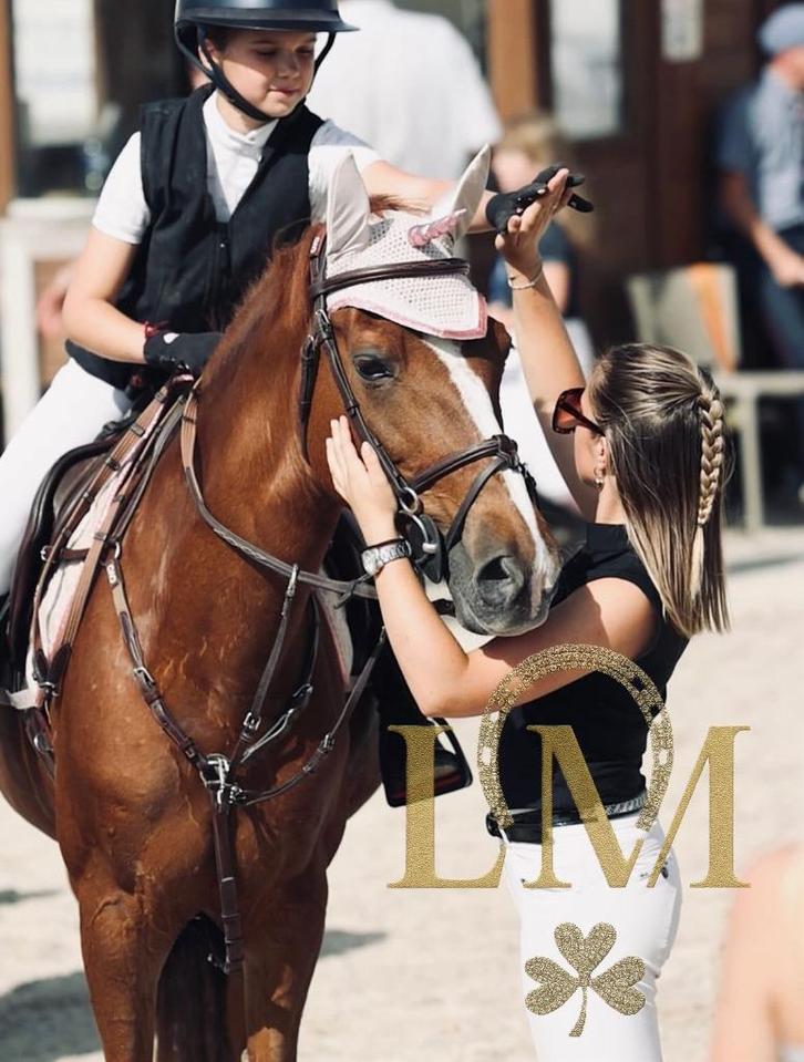 Moniteur d'équitation diplômé indépendante, Animaux & Accessoires, Chevaux, Ne s'applique pas