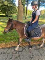 Bonte kinder a-pony, Dieren en Toebehoren, B, A pony (tot 1.17m), 11 jaar of ouder, Recreatiepony