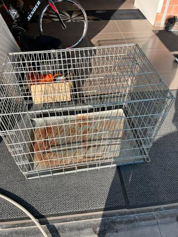 Honden kennel, Dieren en Toebehoren, Ophalen, Zo goed als nieuw