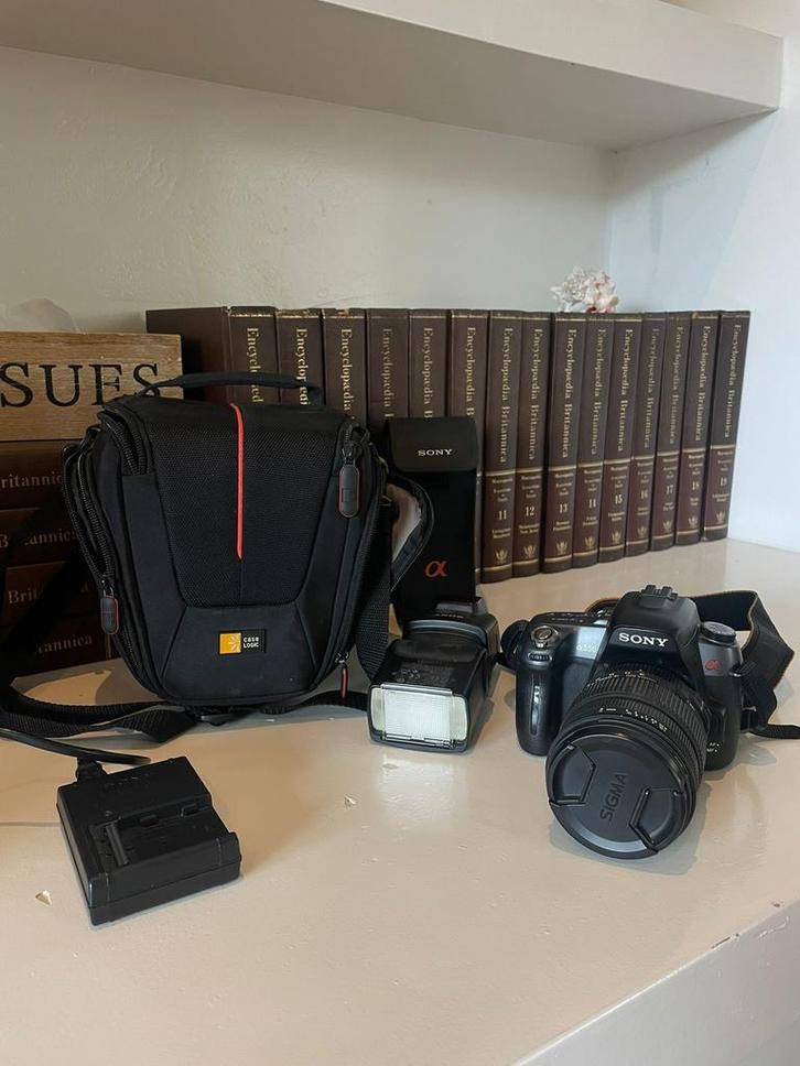 Sony Alpha 550 fototoestel met flits, draagtas, lens), Audio, Tv en Foto, Fotografie | Fotostudio en Toebehoren, Zo goed als nieuw