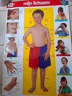 Geplastif. educatieve posters 75x52cm 6€/st of 3 voor 15€, Ophalen of Verzenden, Zo goed als nieuw