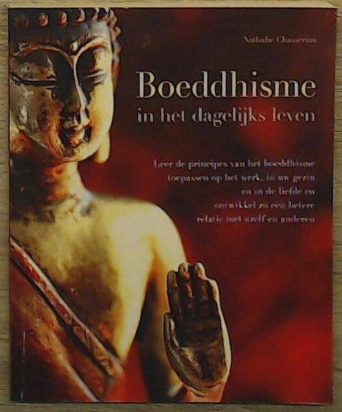 Boeddhisme in het dagelijkse leven, Livres, Religion & Théologie, Neuf, Bouddhisme, Enlèvement ou Envoi