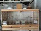 Kweekkooi 80 CM breed, Dieren en Toebehoren, Ophalen, Zo goed als nieuw, Hout