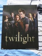 Poster Twilight -- Vampieren -- Pattinson - Stewart, Verzamelen, Ophalen of Verzenden, Zo goed als nieuw, Rechthoekig Staand, Film en Tv