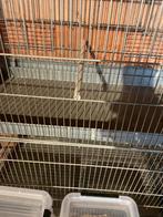 Kweekkooi vogels, Dieren en Toebehoren, Vogels | Hokken en Kooien, Ophalen, Gebruikt, Metaal, Broedkooi of Kweekkooi