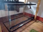 terrarium Exo Terra 80x40x50, Terrarium ou Paludarium, Enlèvement, Utilisé