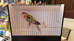 Rosella, Dieren en Toebehoren