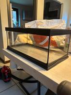 Terrarium 20x20x50, Enlèvement