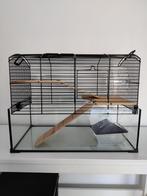 Hamsterkooi en toebehoren, Enlèvement, Utilisé, Cage, Moins de 60 cm