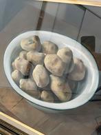 Schilderij van aardappelen stilleven, Enlèvement